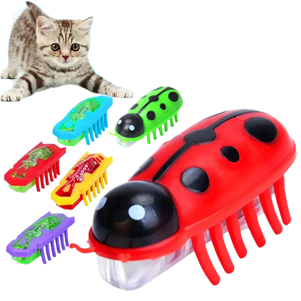 Automatic Ladybug Cat Toy