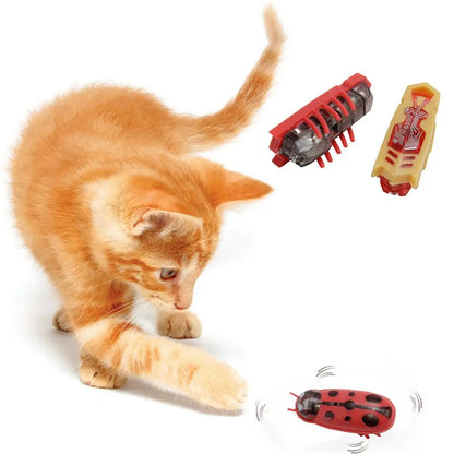 Automatic Ladybug Cat Toy